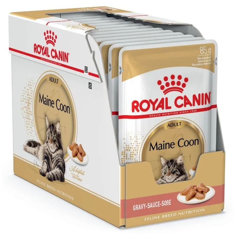 Ostatnie sztuki Royal Canin FBN Maine Coon Adult 12x85g Karma Mokra W Sosie Dla Kotów Dorosłych Rasy Maine Coon