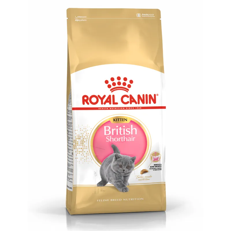 Dostępne od ręki Royal Canin FBN British Shorthair Kitten 2kg Karma Sucha Dla Kociąt Do 12 Miesiąca Rasy Brytyjski Krótkowłosy