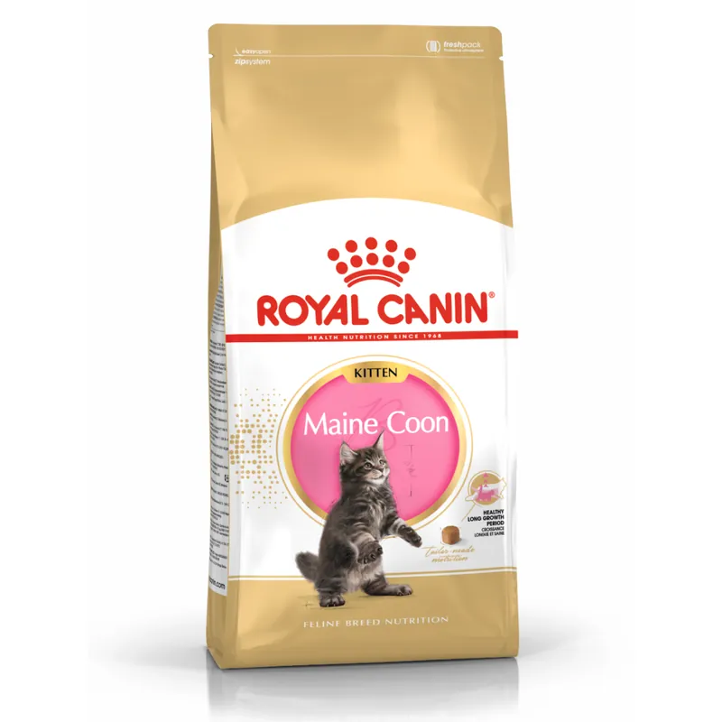 Royal Canin FBN Maine Coon Kitten 4kg Karma Sucha Dla Kociąt Do 15 Miesiąca Rasy Maine Coon Do wyczerpania zapasów