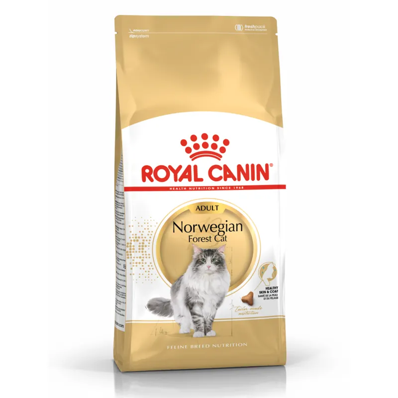 Royal Canin FBN Norvegian Forest Cat Adult 2kg Karma Sucha Dla Kotów Dorosłych Rasy Norweski Leśny Super okazja