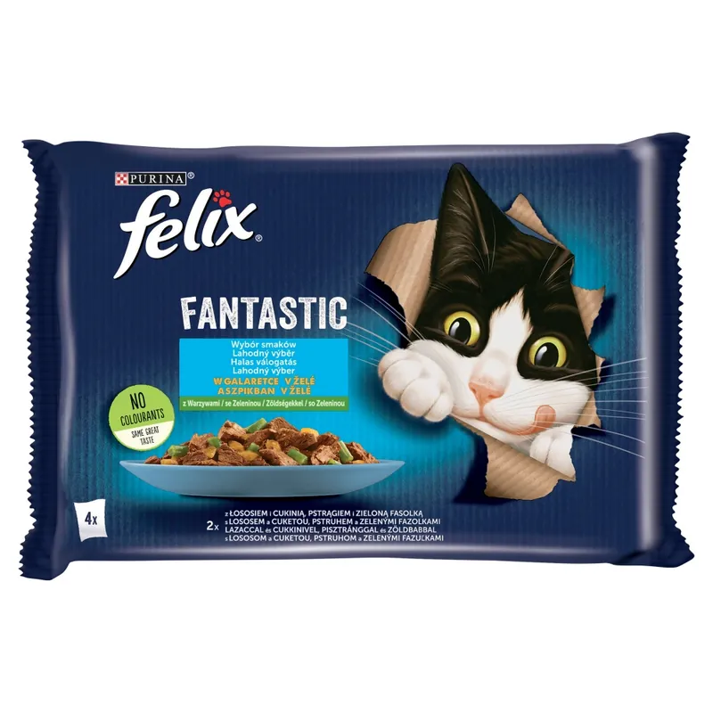 Bestseller Felix Fantastic Karma Dla Kotów Wybór Smaków W Galaretce 340g (4x85g) Łosoś I Pstrąg