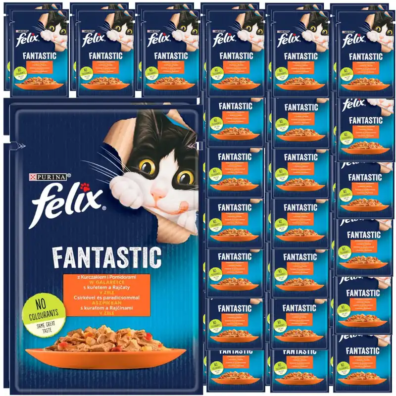 Felix Fantastic Karma Dla Kotów Kurczak Z Pomidorami W Galaretce Saszetka 48x85g Ograniczona ilość