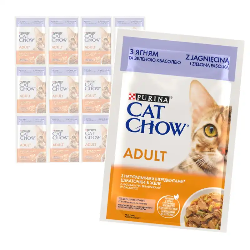 Wybór klientów Purina Cat Chow Adult 12x85g Mokra Karma Dla Kota z Jagnięciną i Zieloną Fasolką w Galaretce
