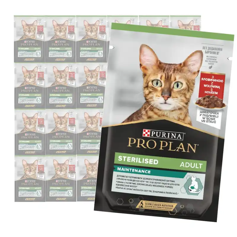 Purina Pro Plan Adult Sterilised Maintenance 24x85g Mokra Karma Dla Kota z Wołowiną w Sosie Ekspresowa dostawa