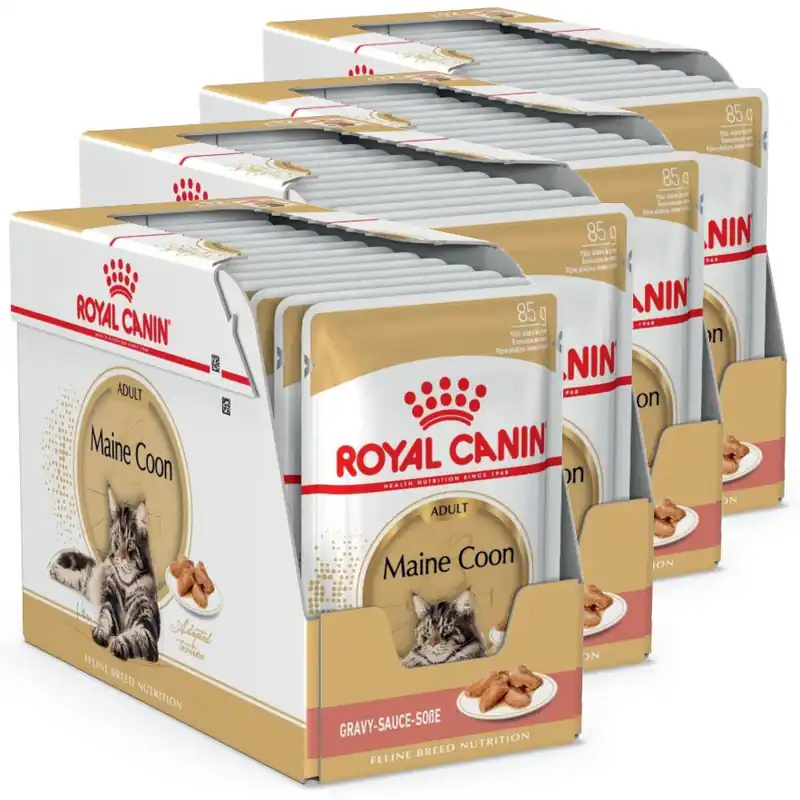 Royal Canin FBN Maine Coon Adult 48x85g Karma Mokra W Sosie Dla Kotów Dorosłych Rasy Maine Coon Do wyczerpania zapasów