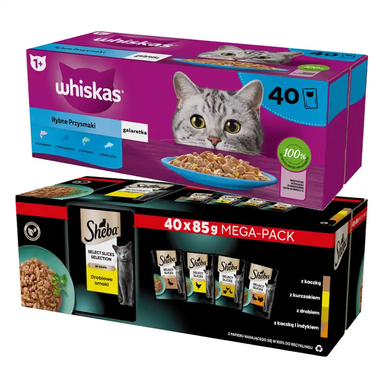 Whiskas Rybne Przysmaki W Galaretce + Sheba Selection Drobiowe Smaki w Sosie 80x85g Mokra Karma Dla Kota Super okazja