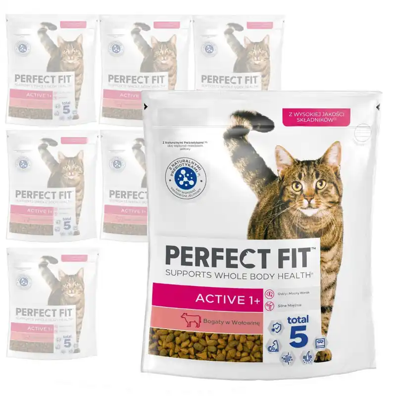 Perfect Fit Active 1+ z Wołowiną 8x750g Sucha Karma Dla Aktywnych Dorosłych Kotów Oferta czasowa