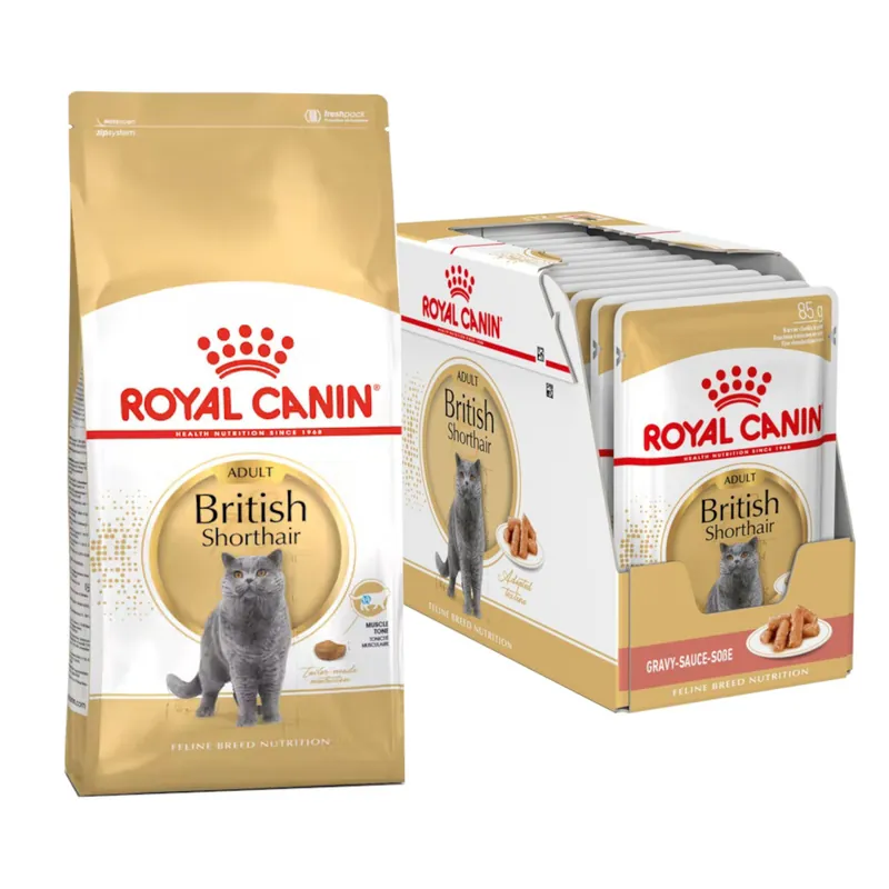 Royal Canin British Shorthair 10kg+12x85g Karma Dla Dorosłego Kota Kup online