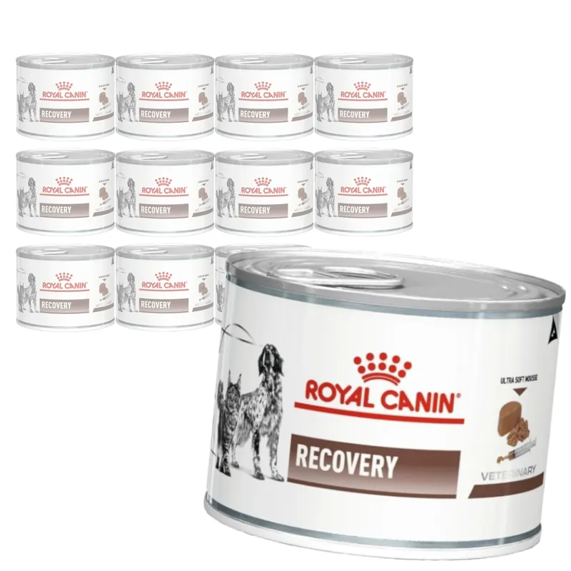 Royal Canin Veterinary VHN Recovery Mousse 12x195g Mokra Karma Mus Dla Psów i Kotów Rekonwalescencja Najlepsza cena