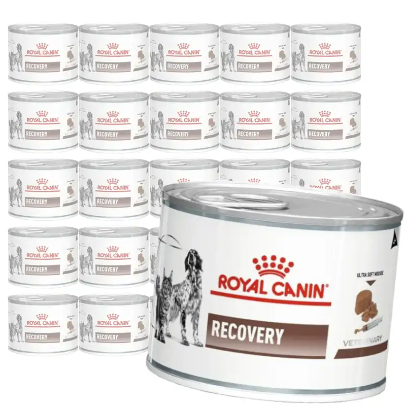 Tani Royal Canin Veterinary VHN Recovery Mousse 24x195g Mokra Karma Mus Dla Psów i Kotów Rekonwalescencja