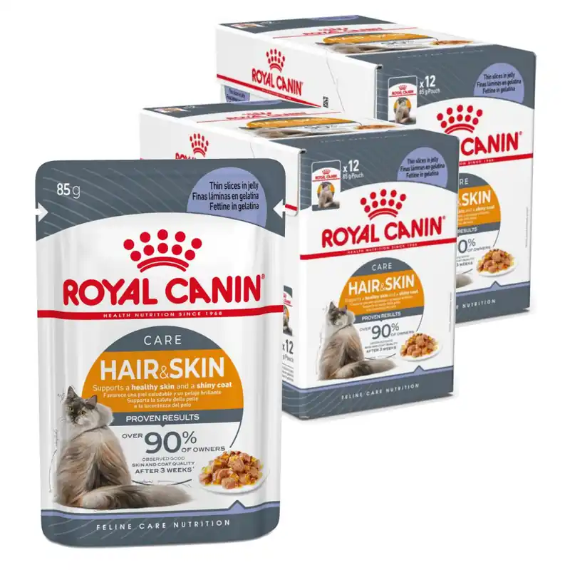 Szybka wysyłka Royal Canin Hair & Skin 24x85g Mokra Karma Dla Kotów Dorosłych w Galaretce Zdrowa Skóra Piękna Sierść