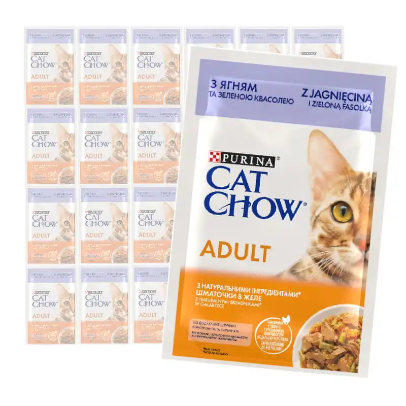 Ostatnie sztuki Purina Cat Chow Adult 24x85g Mokra Karma Dla Kota z Jagnięciną i Zieloną Fasolką w Galaretce