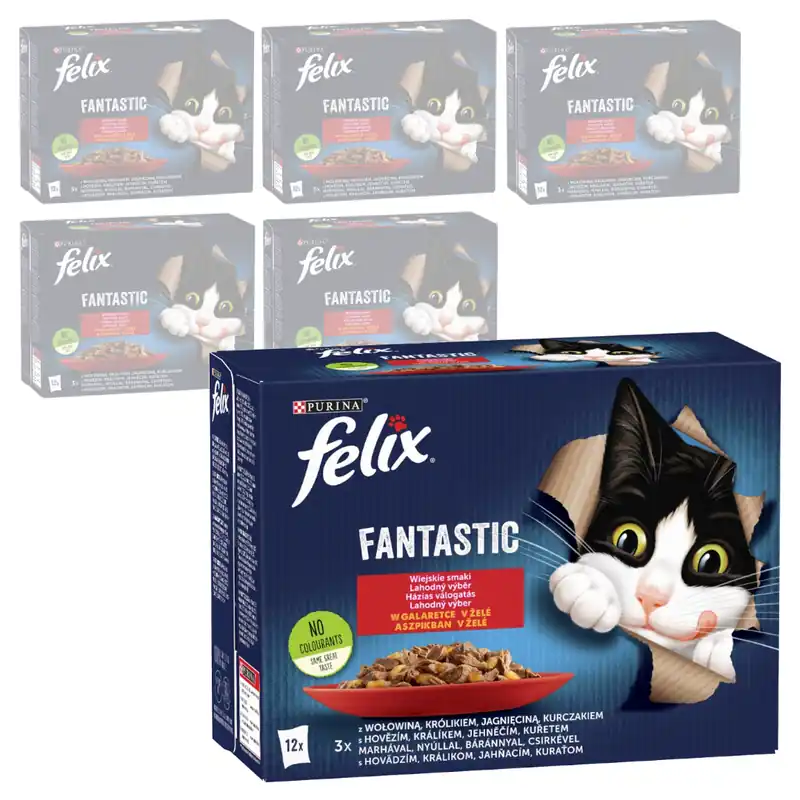 Felix Fantastic Karma Dla Kota Wiejskie Smaki W Galaretce 72x85g Wołowina Kurczak Królik Jagnięcina Szybka dostawa