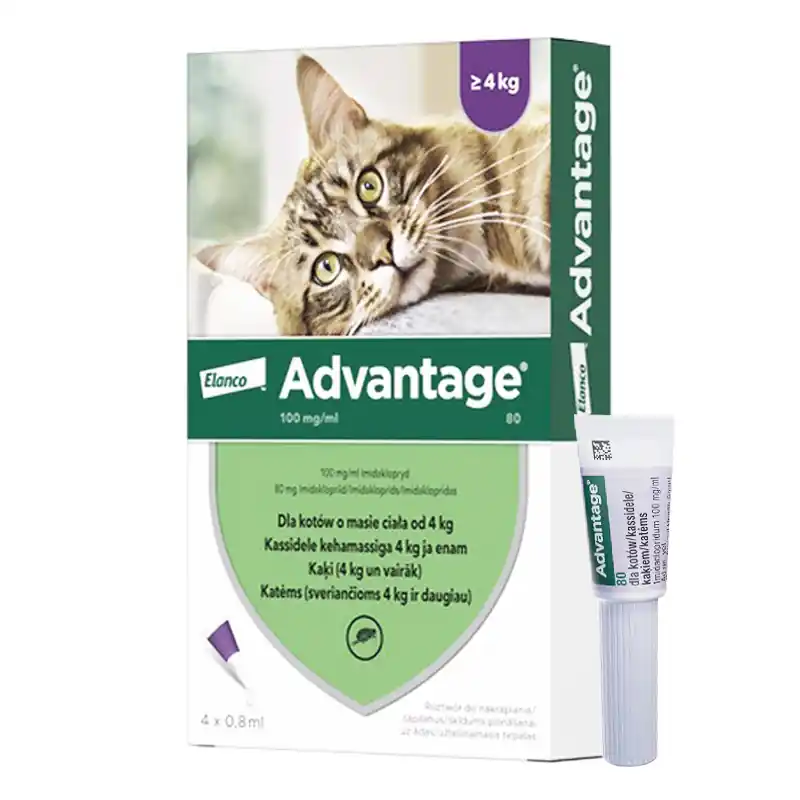Elanco Advantage Krople na pchły dla kotów od 4 kg 0,8 ml 4 szt. Sprawdź teraz