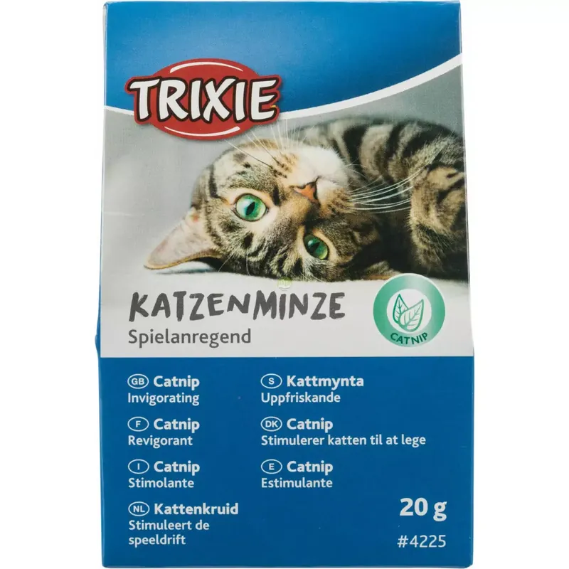 Kocimiętka 20g W Kartoniku Cena promocyjna