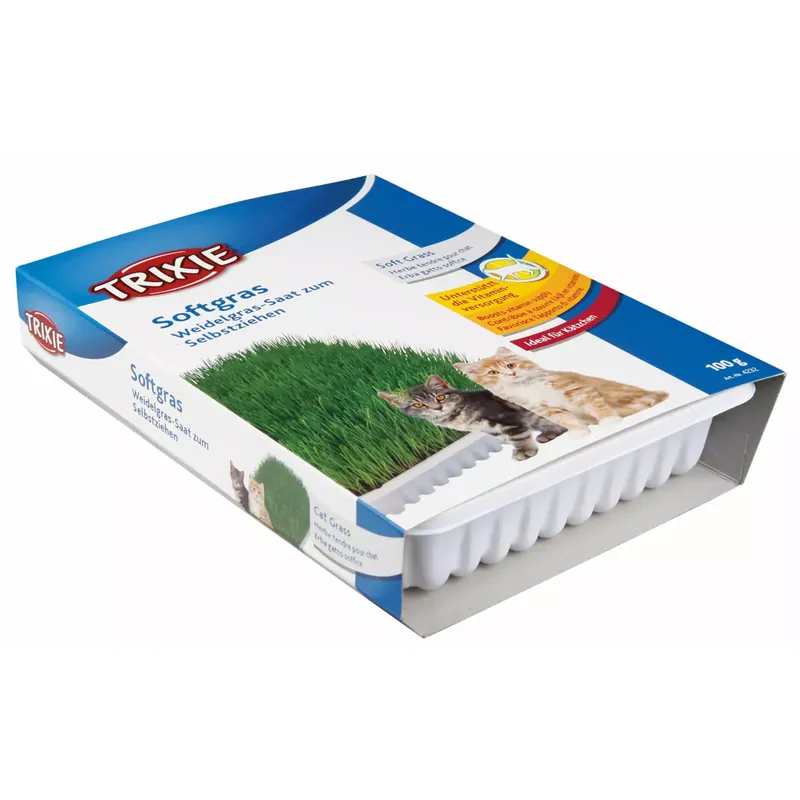 Dodaj do koszyka Trawa Dla Kota W Pojemniku 100g