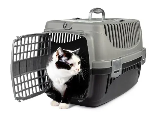 Niska cena TRANSPORTER DLA KOTA PSA KR脫LIKA POLLY M SZARO-CZARNY 55x36,5x 33 cm