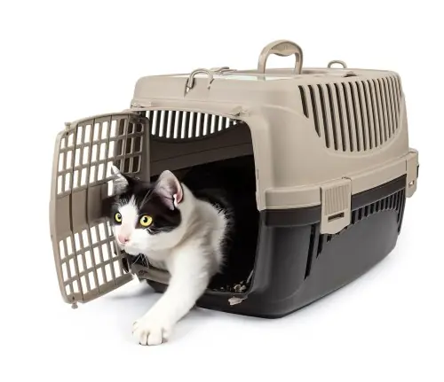 TRANSPORTER DLA KOTA PSA KR脫LIKA POLLY S BE呕OWO-BR膭ZOWY 48x32,5x31 cm Popularny