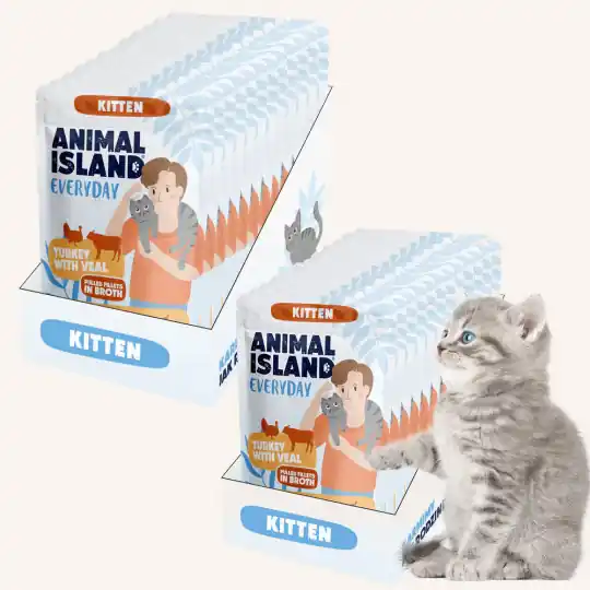 ANIMAL ISLAND Everyday Kitten Indyk z cielęciną w rosole - mokra karma dla kota - 24x85g Do wyczerpania zapasów