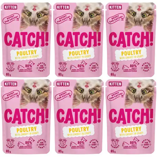 Hit sprzedaży CATCH Junior Drób z marchewką w sosie - mokra karma dla kota - 6x85g