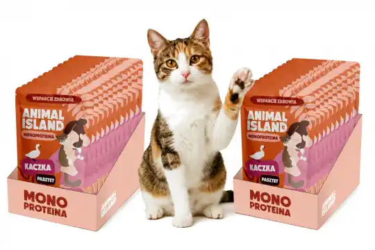 Nowość ANIMAL ISLAND Mono Kaczka - mokra karma dla kota - 20x100g