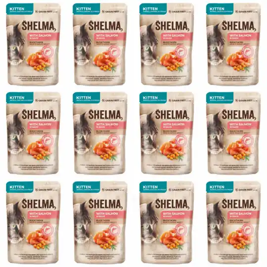 SHELMA Kitten z łososiem w sosie - mokra karma dla kota - 12x85g Szybka wysyłka