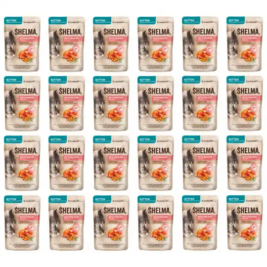 SHELMA Kitten z łososiem w sosie - mokra karma dla kota - 24x85g Hit sprzedaży