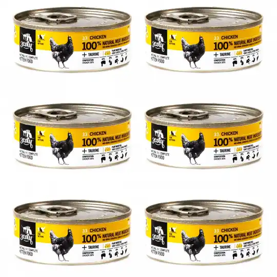 Dostępne od ręki 3COTY Kurczak Dla kociąt - mokra karma dla kota - 6x80g