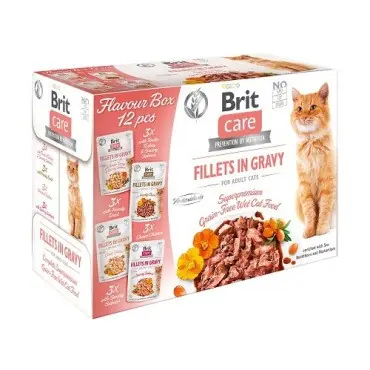 Promocja BRIT CARE CAT SASZETKI DLA KOTA filety mięsne i rybne w sosie