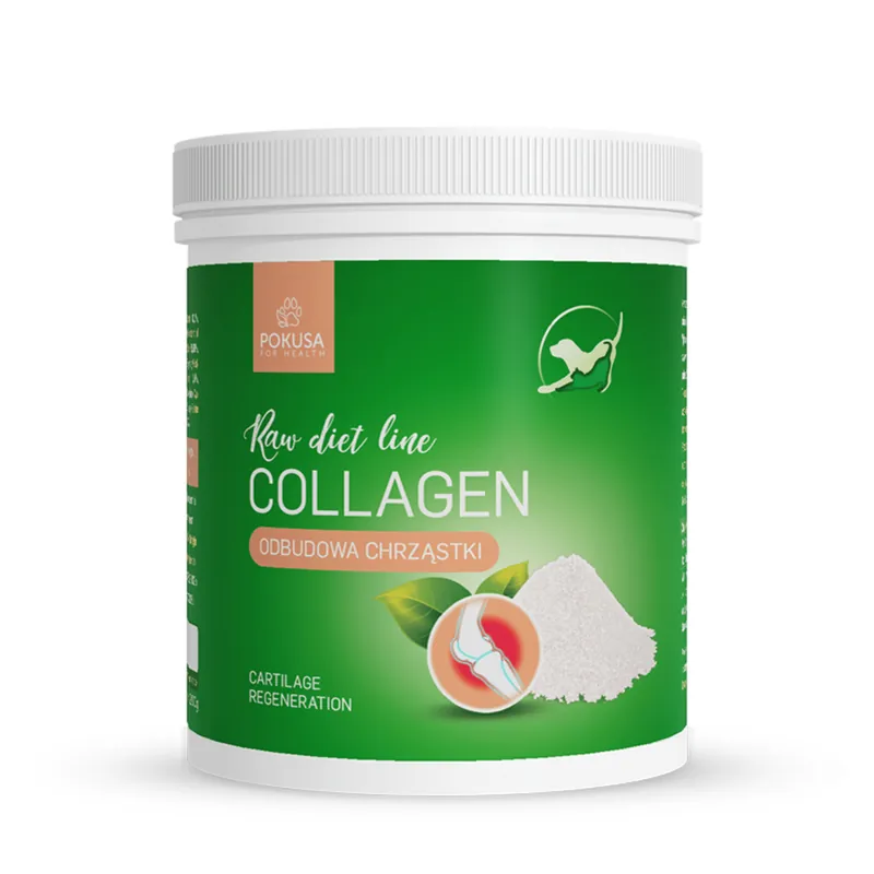 Oferta czasowa Pokusa RawDietLine Kolagen Ze Skór Ryb Oceanicznych