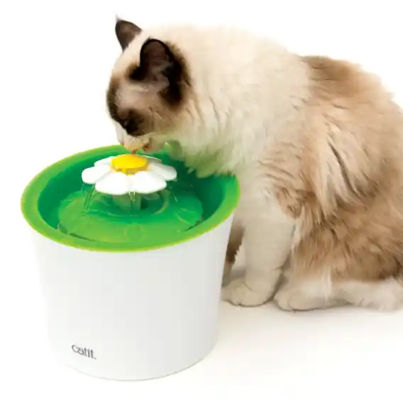 Oferta Fontanna z poidłem Catit Senses 2.0 Flower Fountain