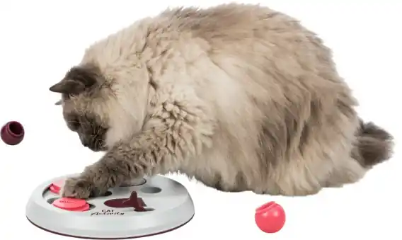 Bezpieczne zakupy TRIXIE Gra strategiczna dla kota Cat Activity Flip Board