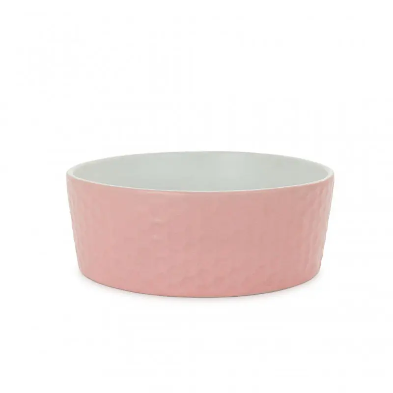 Barry King ceramiczna miska plaster miodu dla kota lub psa Tylko dziś