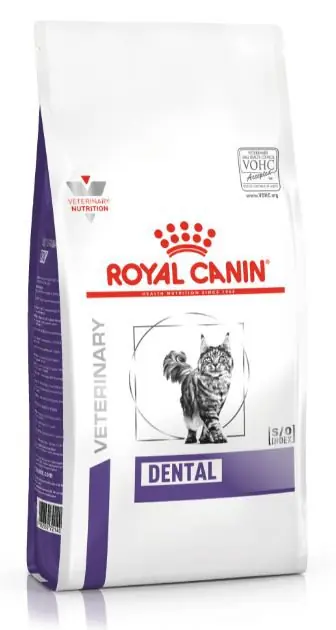 Nie przegap Royal Canin Cat Dental karma dla dorosłych kotów z problemami stomatologicznymi