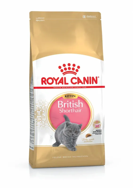 Kup online Royal Canin British Shorthair Kitten karma sucha dla kociąt, do 12 miesiąca, rasy brytyjski krótkowłosy