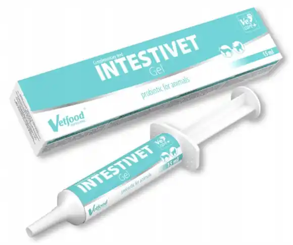 Bestseller Vetfood Intestivet Gel 15 ml -probiotyki i prebiotyki dla psów i kotów