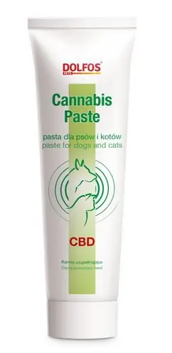 Bestseller Dolvit Cannabis Pasta dla psa i kota 100g