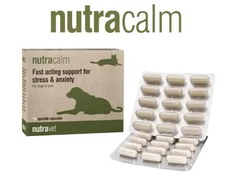 Nutravet NutraCalm for Dogs&Cats Uzupełniająca karma dla psów i kotów szybko działające wsparcie w stresie i niepokoju 9g Wybór klientów