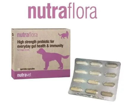 Najlepsza cena Nutravet Nutraflora for Dogs & Cats Probiotyk o wysokiej sile wspomagający codzienne zdrowie jelit i odporności dla psów i kotów 70g
