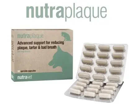 Nutravet Nutraplaque for Dogs & Cats wsparcie w redukcji i kontroli płytki nazębnej, kamienia nazębnego i nieświeżego oddechu 82g Wyjątkowa oferta