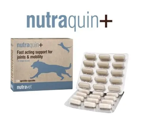 Nutravet Nutraquin+ for Dogs&Cats Szybo działające wsparcie stawów i mobilności u kotów i psów Dodaj do koszyka
