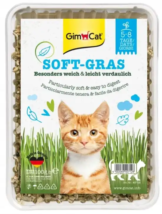 GIMCAT Soft Gras miękka trawa dla kotów w pojemniku 100g Ostatnie sztuki
