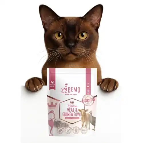 Dodaj do koszyka Bemo Kitten Ciel臋cina z perliczk膮 500g - sucha karma dla koci膮t