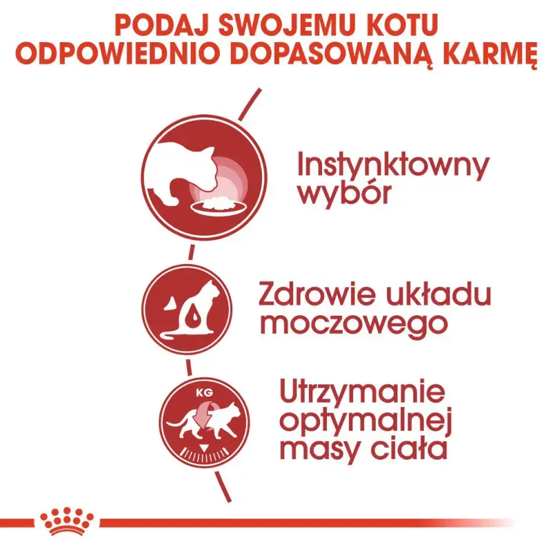 Royal Canin Instinctive Loaf Feline mokra karma dla kota saszetka Obniżka ceny