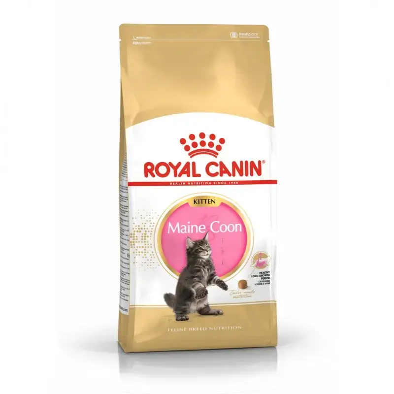 Tani Royal Canin Cat Kitten Maine Coon sucha karma dla kociąt