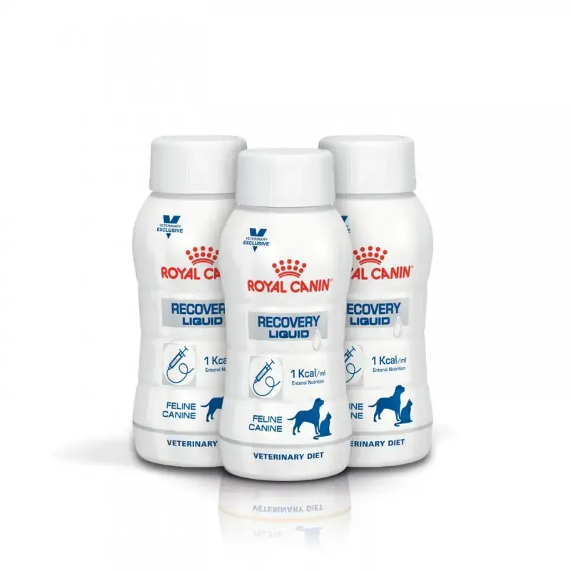 Oferta czasowa Royal Canin Dog & Cat Recovery Liquid drink regeneracyjny dla psa i kota